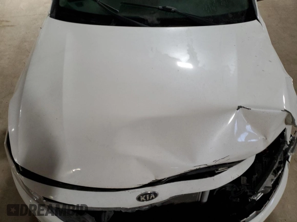 2019 Kia Optima LX with VIN 5XXGT4L33KG324791, listed as a Copart auction lot 86151584 with 115,990 mi miles and Salvage Title. Bid and sale history available at carsss.com. Image 11.
