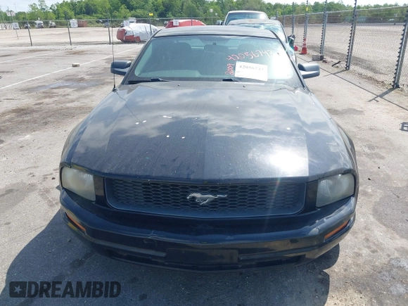 2009 Ford Mustang with VIN 1ZVHT80NX95112192, listed as a IAAI auction lot 42056743 with 141,206 mi miles and . Bid and sale history available at carsss.com. Image 6.
