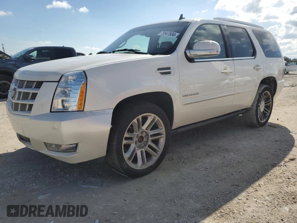 2013 Cadillac Escalade Premium with VIN 1GYS4CEF6DR248440, listed as a Copart auction lot 73847934 with 148,505 mi miles and Salvage Title. Bid and sale history available at carsss.com. Image 1.