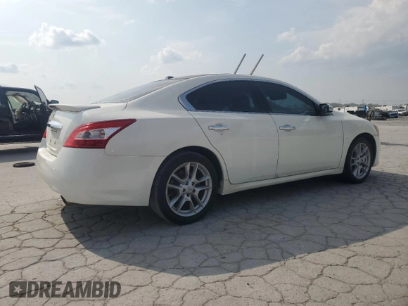 2011 Nissan Maxima SV with VIN 1N4AA5AP6BC806085, listed as a Copart auction lot 59541205 with 129,367 mi miles and Salvage title. Bid and sale history available at DreamBid. Image 3.