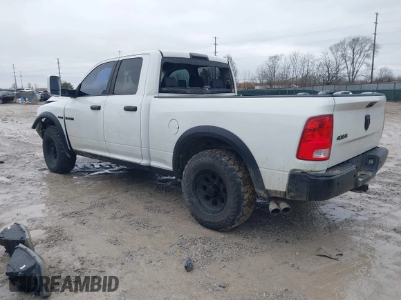 2010 Dodge 1500 SLT with VIN 1D7RV1GT7AS137785, listed as a IAAI auction lot 41519997 with 204,854 mi miles and . Bid and sale history available at DreamBid. Image 3.