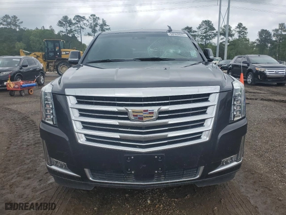 2017 Cadillac Escalade Platinum with VIN 1GYS4DKJ0HR379285, listed as a Copart auction lot 50569605 with 84,819 mi miles and Salvage Title. Bid and sale history available at carsss.com. Image 5.