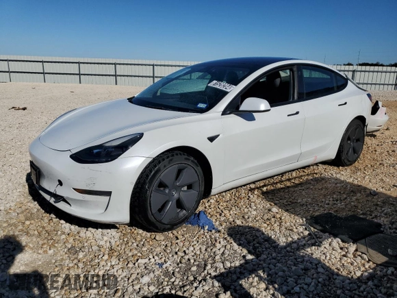 2021 Tesla Model 3 Standard Range Plus with VIN 5YJ3E1EA7MF089997, listed as a Copart auction lot 81528284 with 147,242 mi miles and Clean Title. Bid and sale history available at DreamBid. Image 1.
