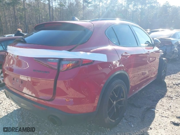 2019 Alfa Romeo Stelvio Ti Sport with VIN ZASPAKBN6K7C43720, listed as a IAAI auction lot 41174120 with 55,446 mi miles. Bid and sale history available at carsss.com. Image 4.