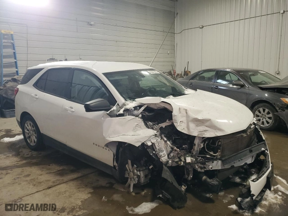 2019 Chevrolet Equinox LS with VIN 2GNAXSEV4K6277025, listed as a Copart auction lot 45575705 with 114,452 mi miles and Salvage Title. Bid and sale history available at carsss.com. Image 4.