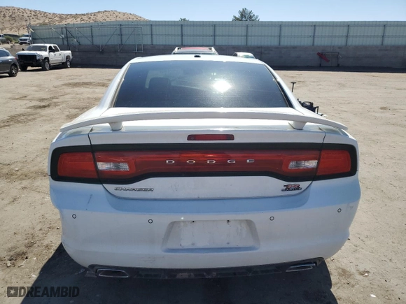 2013 Dodge Charger RT Plus with VIN 2C3CDXCT7DH516376, listed as a Copart auction lot 54274165 with 114,517 mi miles and Salvage Title. Bid and sale history available at carsss.com. Image 6.