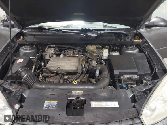 2004 Chevrolet Malibu Maxx LS with VIN 1G1ZT64814F167044, listed as a IAAI auction lot 41176248 with 187,962 mi miles. Bid and sale history available at carsss.com. Image 10.