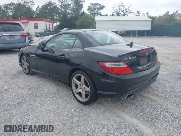 2014 Mercedes-Benz SLK 250 with VIN WDDPK4HA4EF079437, listed as a IAAI auction lot 41958020 with 95,063 mi miles and . Bid and sale history available at DreamBid. Image 3.