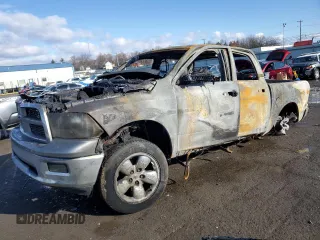 2010 Dodge 1500 SLT with VIN 1D7RV1CT8AS241160, listed as a Copart auction lot 44374985 with Not Provided miles and Salvage Title. Bid and sale history available at DreamBid. Image 1.