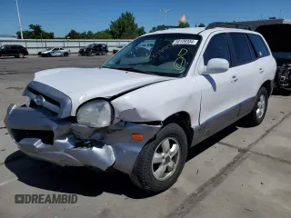 2006 Hyundai Santa Fe GLS with VIN KM8SC73E16U109810, listed as a Copart auction lot 58109304 with 262,562 mi miles and Salvage Title. Bid and sale history available at carsss.com. Image 1.