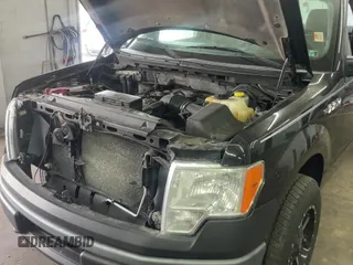 2014 Ford F-150 XL with VIN 1FTMF1EM5EFA86587, listed as a Copart auction lot 64393115 with 165,549 mi miles and Clean title. Bid and sale history available at DreamBid. Image 11.
