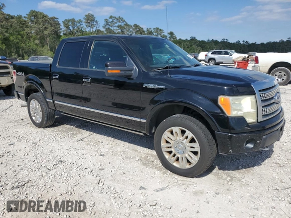 2009 Ford F-150 XL with VIN 1FTPW14V89FB31129, listed as a Copart auction lot 51804665 with 227,851 mi miles and Clean title. Bid and sale history available at DreamBid. Image 4.