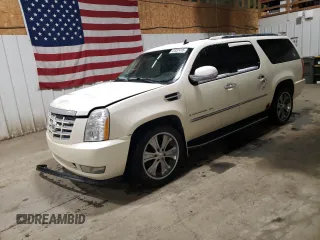 2009 Cadillac Escalade ESV с VIN 1GYFK26299R226274, выставлен на аукционе Copart как лот 41837415 с пробегом 221 197 миль миль и Списание • Salvage title. История ставок и продаж доступна на DreamBid. Изображение 1.