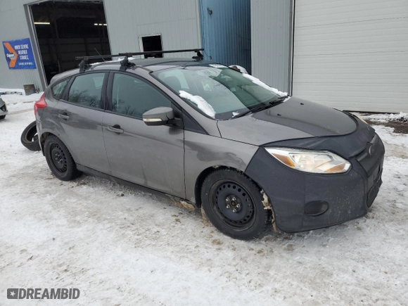 2014 Ford Focus SE with VIN 1FADP3K23EL338162, listed as a Copart auction lot 42450065 with 131,205 mi miles and Clean Title. Bid and sale history available at carsss.com. Image 4.