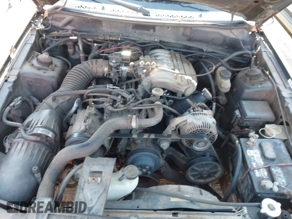 1995 Ford Mustang with VIN 1FALP4042SF278701, listed as a IAAI auction lot 41776409 with 203,241 mi miles and . Bid and sale history available at DreamBid. Image 10.
