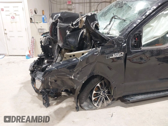 2019 Ford F-150 XL with VIN 1FTEW1EP2KFB53267, listed as a IAAI auction lot 41849110 with 1 mi miles. Bid and sale history available at carsss.com. Image 16.