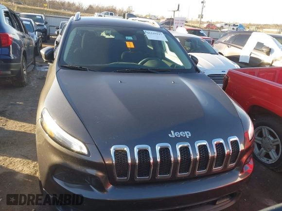 2016 Jeep Cherokee Altitude with VIN 1C4PJLCS8GW173279, listed as a IAAI auction lot 41129117 with 163,978 mi miles. Bid and sale history available at carsss.com. Image 12.