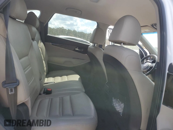2019 Kia Sorento EX V6 with VIN 5XYPH4A58KG541903, listed as a Copart auction lot 50917225 with 97,284 mi miles and Salvage Title. Bid and sale history available at carsss.com. Image 11.