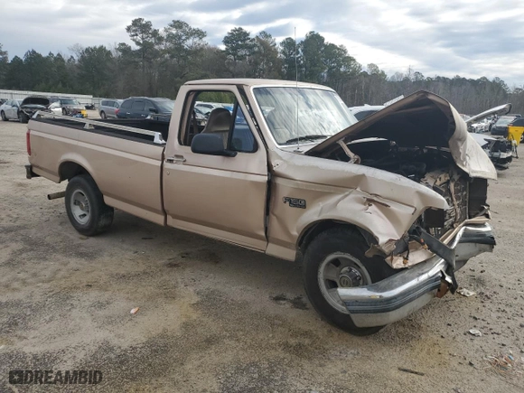 1996 Ford F-150 Special with VIN 1FTEF15Y8TLC13709, listed as a Copart auction lot 87666455 with 0 miles and Salvage Title. Bid and sale history available at carsss.com. Image 4.