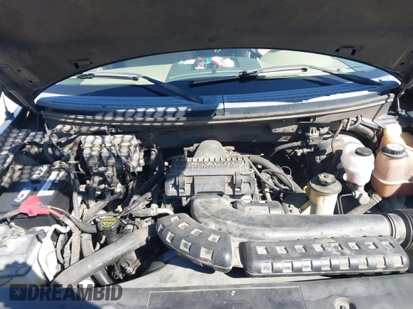2005 Ford F-150 XLT with VIN 1FTPX12575NA61851, listed as a IAAI auction lot 41713974 with 251,639 mi miles. Bid and sale history available at carsss.com. Image 10.