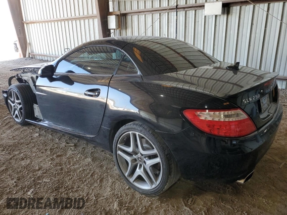 2014 Mercedes-Benz SLK-Class SLK 250 with VIN WDDPK4HA2EF082644, listed as a Copart auction lot 80688003 with 149,220 mi miles and Salvage Title. Bid and sale history available at carsss.com. Image 2.