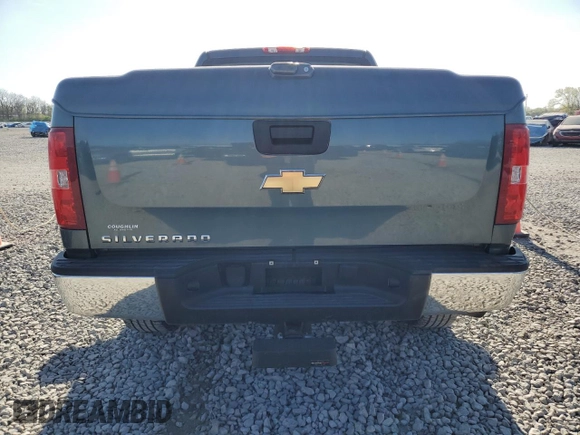 2009 Chevrolet Silverado 1500 Work Truck with VIN 1GCEC14X39Z177807, listed as a Copart auction lot 54479315 with 133,062 mi miles and Salvage Title. Bid and sale history available at DreamBid. Image 6.