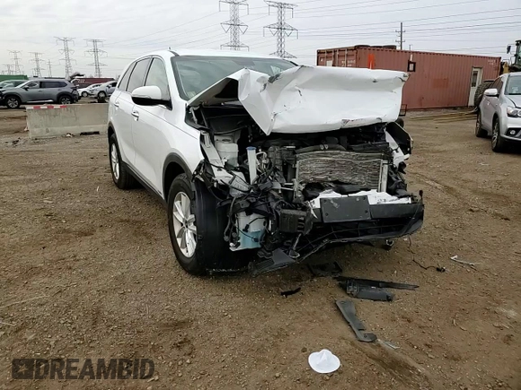 2019 Kia Sorento LX with VIN 5XYPGDA30KG480872, listed as a Copart auction lot 49615655 with Not Provided miles and Salvage Title. Bid and sale history available at DreamBid. Image 11.