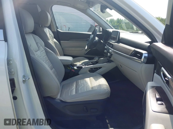 2020 Kia Telluride SX with VIN 5XYP5DHC4LG067625, listed as a IAAI auction lot 42302019 with 134,266 mi miles and . Bid and sale history available at DreamBid. Image 5.
