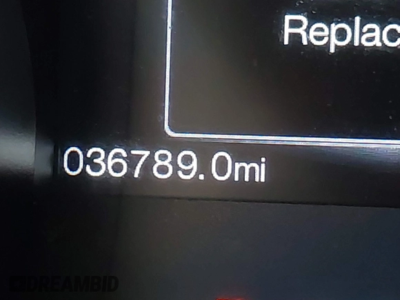 2017 Ford Mustang V6 with VIN 1FA6P8AM8H5236924, listed as a IAAI auction lot 41722764 with 36,789 mi miles and . Bid and sale history available at DreamBid. Image 16.