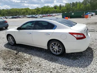 2011 Nissan Maxima 3.5 S with VIN 1N4AA5AP1BC850656, listed as a Copart auction lot 52694635 with 178,309 mi miles and Salvage Title. Bid and sale history available at carsss.com. Image 2.
