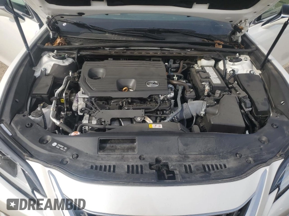 2022 Lexus ES 250 with VIN 58AD11D13NU009190, listed as a Copart auction lot 78155354 with 13,565 mi miles and Salvage title. Bid and sale history available at DreamBid. Image 14.
