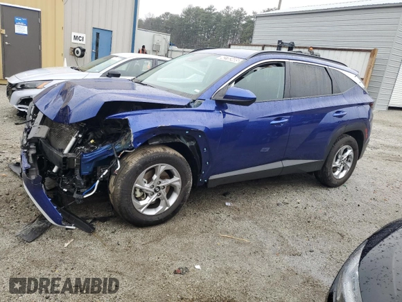 2024 Hyundai Tucson SEL with VIN 5NMJB3DE2RH300142, listed as a Copart auction lot 42783485 with Not Provided miles and Non Repairable. Bid and sale history available at DreamBid. Image 1.