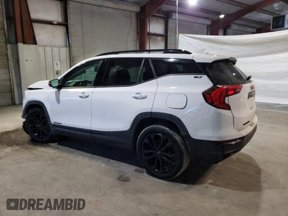 2020 GMC Terrain SLT with VIN 3GKALVEV3LL310748, listed as a Copart auction lot 46742895 with 156,264 mi miles and Salvage Title. Bid and sale history available at DreamBid. Image 2.