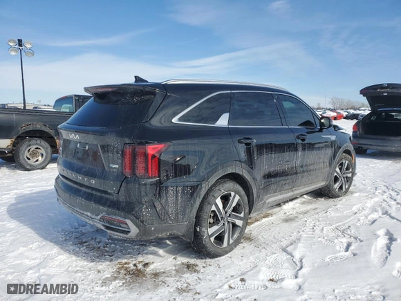 2022 Kia Sorento Hybrid EX with VIN KNDRHDLG3N5117372, listed as a Copart auction lot 45593285 with 39,438 mi miles and Salvage Title. Bid and sale history available at carsss.com. Image 3.