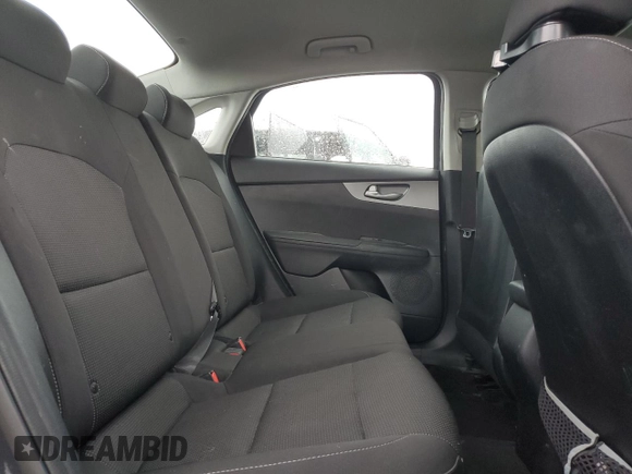2019 Kia Forte LXS z VIN 3KPF24AD8KE013876, wystawiony jako Copart lot #59156525 z przebiegiem 199 097 mil mil oraz Szkoda całkowita • Salvage title. Historia ofert i sprzedaży dostępna na DreamBid. Obrazek 10.