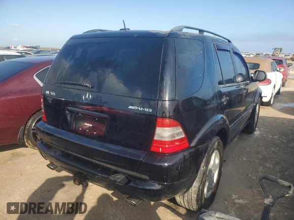 2001 Mercedes-Benz M-Class AMG with VIN 4JGAB74E71A251456, listed as a Copart auction lot 67904294 with 177,261 mi miles and Salvage Title. Bid and sale history available at carsss.com. Image 3.