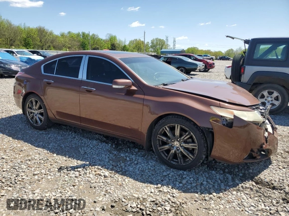 2009 Acura TL Tech with VIN 19UUA86519A003840, listed as a Copart auction lot 52365865 with 256,973 mi miles and Clean Title. Bid and sale history available at carsss.com. Image 4.