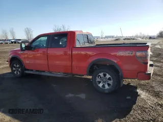 2013 Ford F-150 XL with VIN 1FTFW1ET5DFD18894, listed as a Copart auction lot 49705005 with 232,384 mi miles and Salvage Title. Bid and sale history available at carsss.com. Image 2.