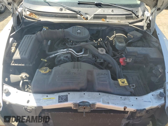 2002 Dodge Dakota with VIN 1B7GL12X32S557546, listed as a Copart auction lot 66879734 with 218,981 mi miles and Salvage Title. Bid and sale history available at carsss.com. Image 12.