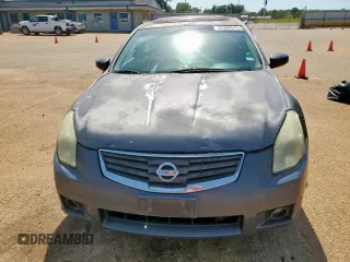 2007 Nissan Maxima SE with VIN 1N4BA41E87C801989, listed as a Copart auction lot 56366975 with Not provided miles and Salvage title. Bid and sale history available at DreamBid. Image 5.