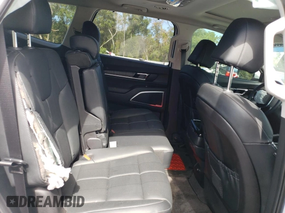 2024 Kia Telluride EX with VIN 5XYP3DGC1RG442032, listed as a Copart auction lot 75420063 with Not Provided miles and Non Repairable. Bid and sale history available at carsss.com. Image 12.