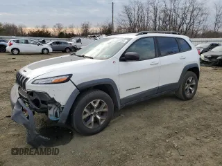 2015 Jeep Cherokee Trailhawk with VIN 1C4PJMBB1FW528766, listed as a Copart auction lot 46879355 with 248,676 mi miles and Salvage Title. Bid and sale history available at carsss.com. Image 1.