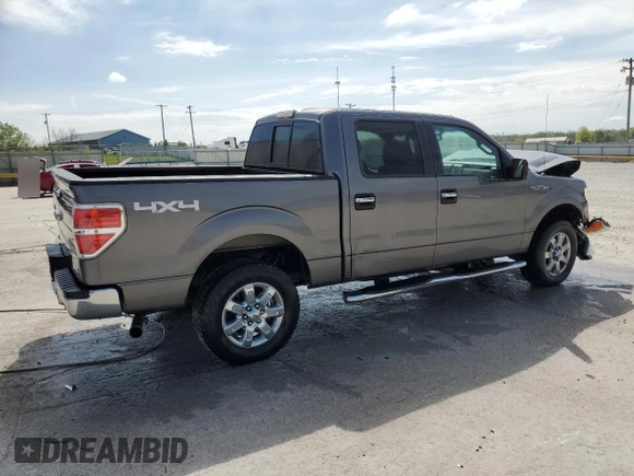2013 Ford F-150 XL with VIN 1FTFW1EF3DFD32612, listed as a Copart auction lot 53959375 with 226,716 mi miles and Non repairable. Bid and sale history available at DreamBid. Image 3.