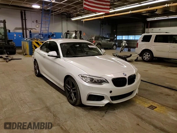 2015 BMW 2 Series 228i with VIN WBA1F5C53FV343580, listed as a Copart auction lot 84035754 with 63,537 mi miles and Salvage Title. Bid and sale history available at carsss.com. Image 11.