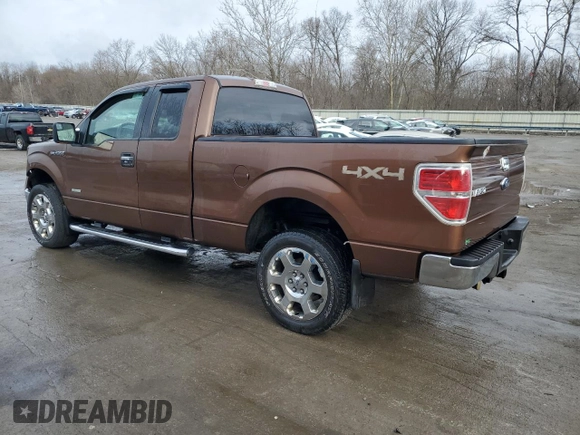 2011 Ford F-150 XL with VIN 1FTFX1ET7BKE14723, listed as a Copart auction lot 50583885 with 118,935 mi miles and Salvage Title. Bid and sale history available at DreamBid. Image 2.