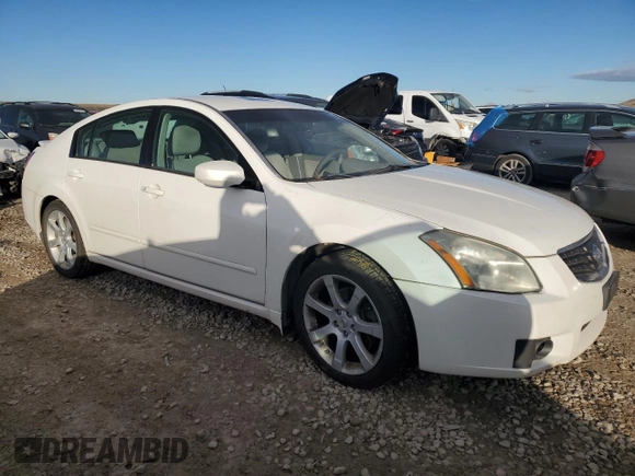 2008 Nissan Maxima SE with VIN 1N4BA41E28C801181, listed as a Copart auction lot 81125094 with Not Provided miles and Clean Title. Bid and sale history available at DreamBid. Image 4.