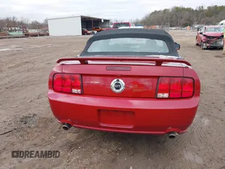2008 Ford Mustang GT Deluxe with VIN 1ZVHT85H585146235, listed as a IAAI auction lot 41277038 with 138,033 mi miles and . Bid and sale history available at DreamBid. Image 16.