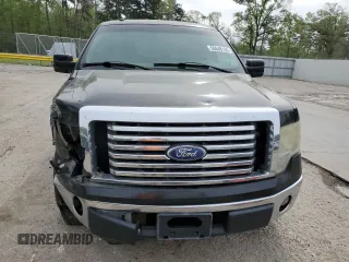 2010 Ford F-150 XL with VIN 1FTEW1C88AFC56624, listed as a Copart auction lot 50648135 with 228,961 mi miles and Salvage Title. Bid and sale history available at carsss.com. Image 5.