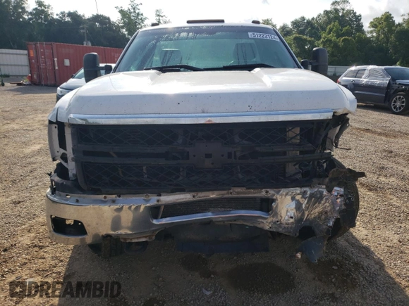 2014 Chevrolet Silverado 1500 with VIN 1GB3CZC8XEF133366, listed as a Copart auction lot 51223124 with Not Provided miles and Salvage Title. Bid and sale history available at DreamBid. Image 5.