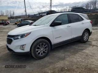 2019 Chevrolet Equinox LS z VIN 2GNAXHEV2K6158473, wystawiony jako Copart lot #48894275 z przebiegiem 131 766 mil mil oraz Szkoda całkowita • Salvage title. Historia ofert i sprzedaży dostępna na DreamBid. Obrazek 1.